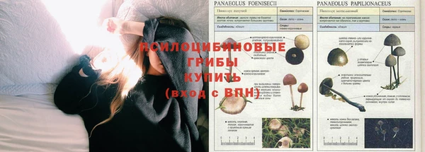 прущая мука Вязники