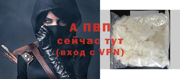 молекула духа Вязьма