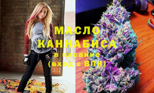 молекула духа Вязьма