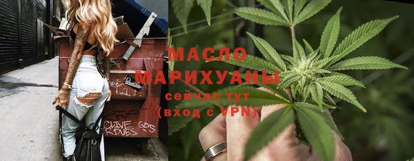 молекула духа Вязьма