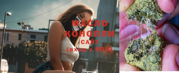 молекула духа Вязьма