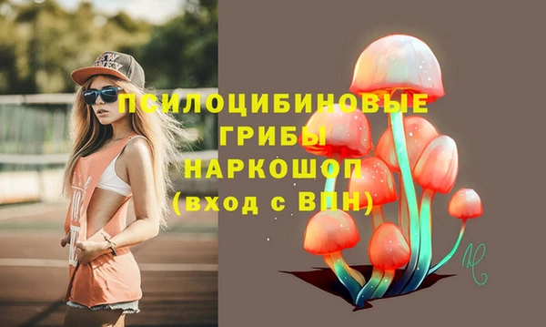 прущая мука Вязники